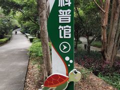 -广东惠东海龟国家级自然保护区
