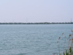 -漕湖湿地公园