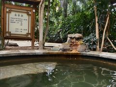 -郑州银基黄帝宫御温泉