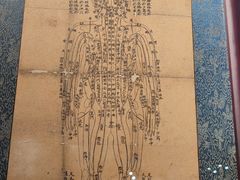 -北京中医药大学-中医药博物馆