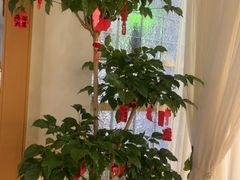 -沐森 •疗愈头疗馆(打浦桥店)