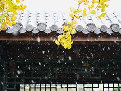 -慧因高丽寺