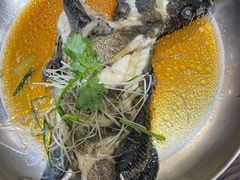 老虎斑-盒马鲜生(皇庭广场店)