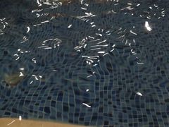 -青岛东方影都融创水世界