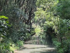 -同里国家湿地公园