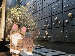 -北京周口店北京人遗址博物馆