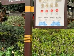-泡桐树街