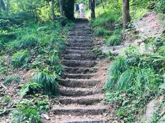 -青龙山国家森林公园