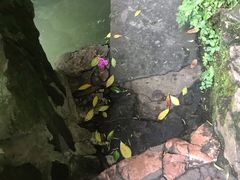 -杭州黄龙洞