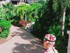 -亚马逊丛林水乐园