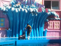 -华夏文旅海洋公园