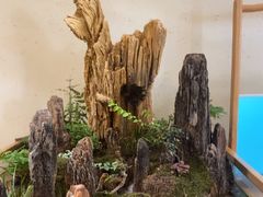 -蟹家大院 · 独揽江景(滨江店)