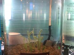 -苏州河梦清园环保主题公园