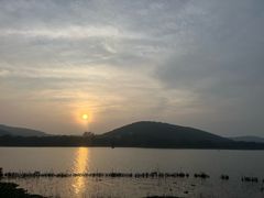 -长广溪湿地公园