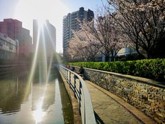 -上海外国语大学(虹口校区)