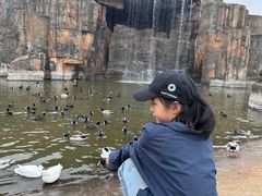 -海南热带野生动植物园