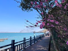 -南京金牛湖风景区