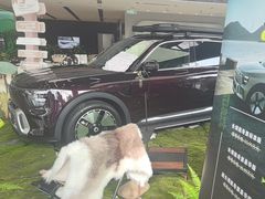 -奔驰上海利星(七宝店)