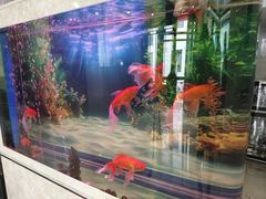 -欣怡茶庄·始于1999(梅家坞店)