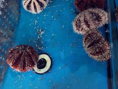 -亚龙湾8号(丁村万人海鲜广场店)