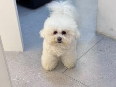 -comecome来吧宠物(奥克斯中心店)