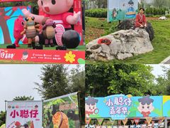 -广西壮族自治区药用植物园