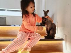-琪喵猫屋·撸猫猫咖·猫舍