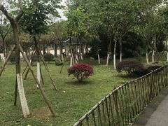 -火炉山森林公园