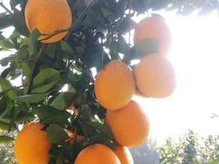 -海底捞火锅(方圆荟店)