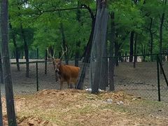 -秦皇岛野生动物园