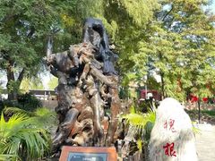-大槐树寻根祭祖园