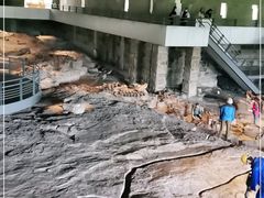 -自贡恐龙博物馆