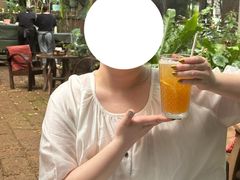 -Fern Forest Cafe