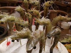 -尚海豆捞(乐虹坊店)