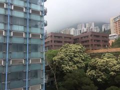 -香港大学