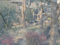 -武汉动物园