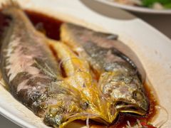 -宝轩渔府·老字号海鲜·正宗津菜(水上店)