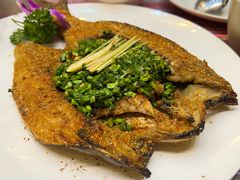 -香巴拉云南餐厅(华莱坞店)