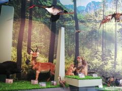 -房山世界地质公园博物馆