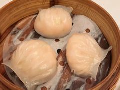 -粤珍轩·家宴·广式茶点(新城广场店)