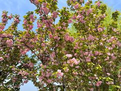 -汉长安城未央宫国家考古遗址公园