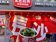 -黑色经典臭豆腐·湖南特产(坡子街店)