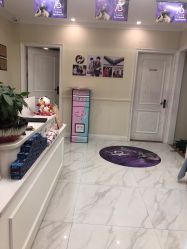 -静博士·养生养颜