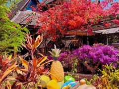 -西双版纳傣族园