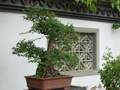 -杭州植物园