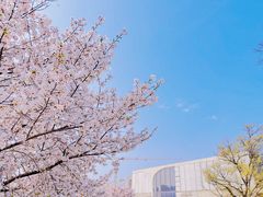 -龙美术馆(西岸馆)