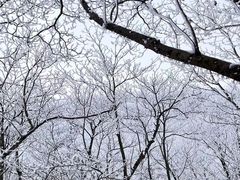 -安吉龙王山风景区