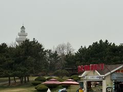 -日照灯塔风景区