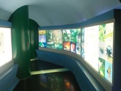 -上海昆虫博物馆