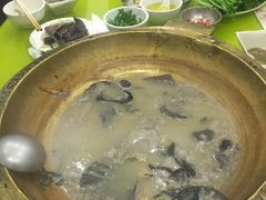 -颜氏双江清水鱼一养身火锅(磁器口店)